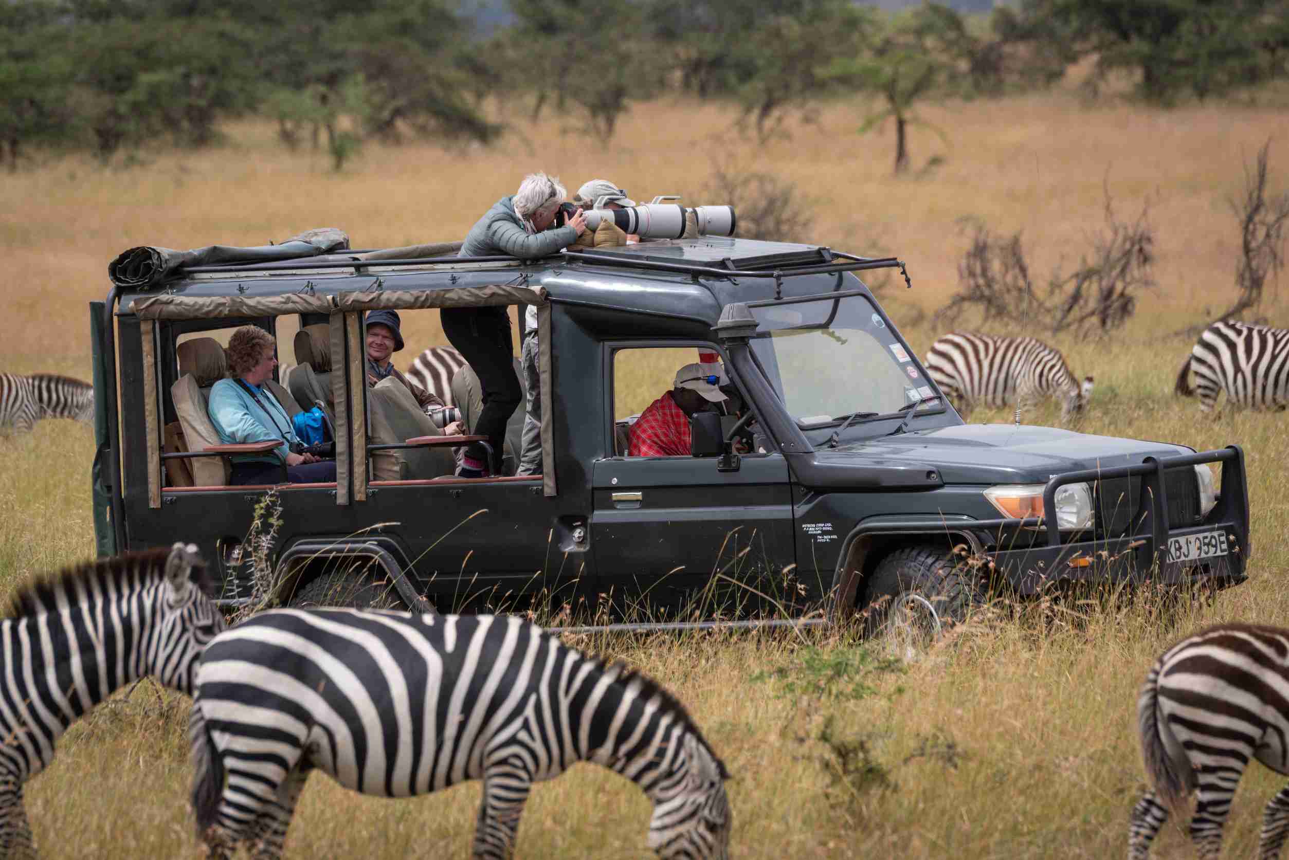 A safari vehicle among zebra on the plains