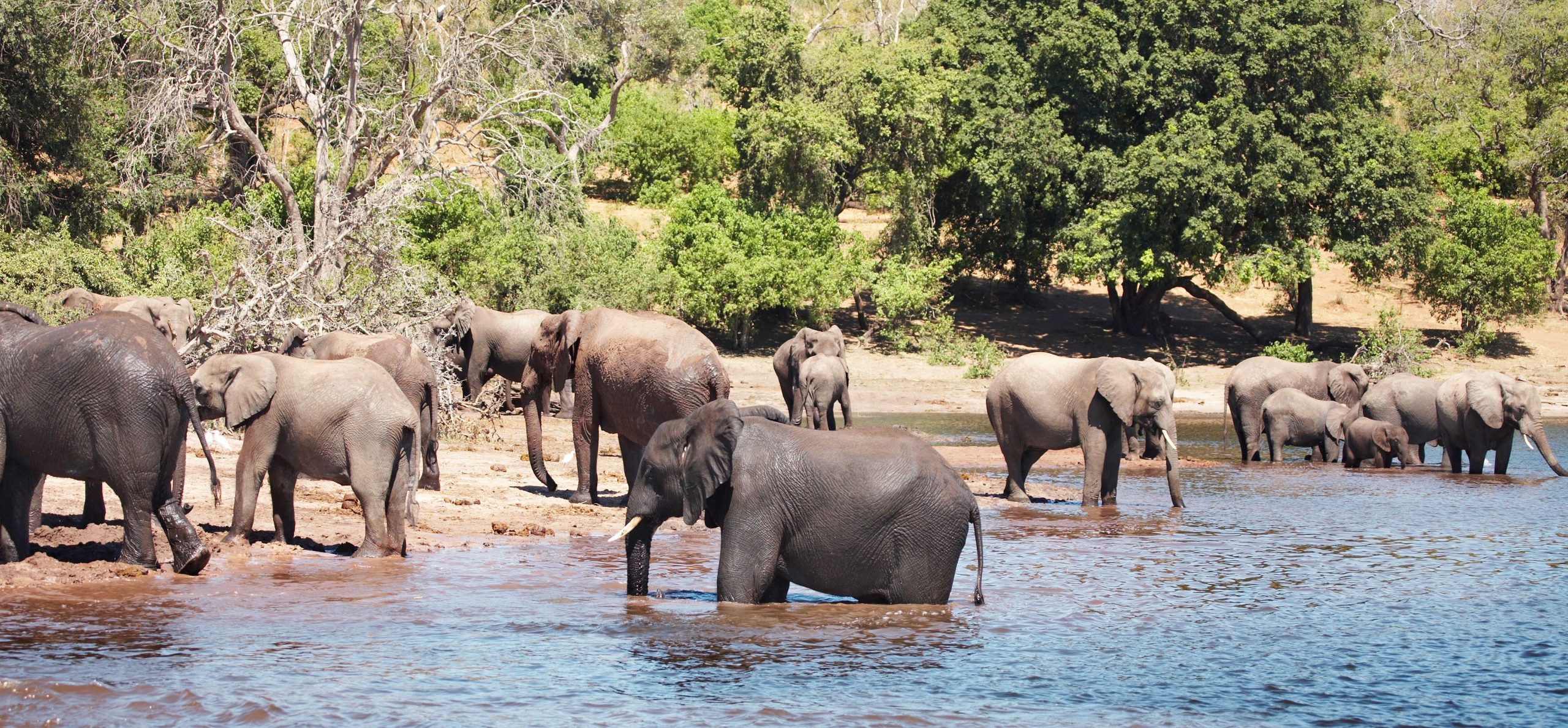 Tarangire National Park