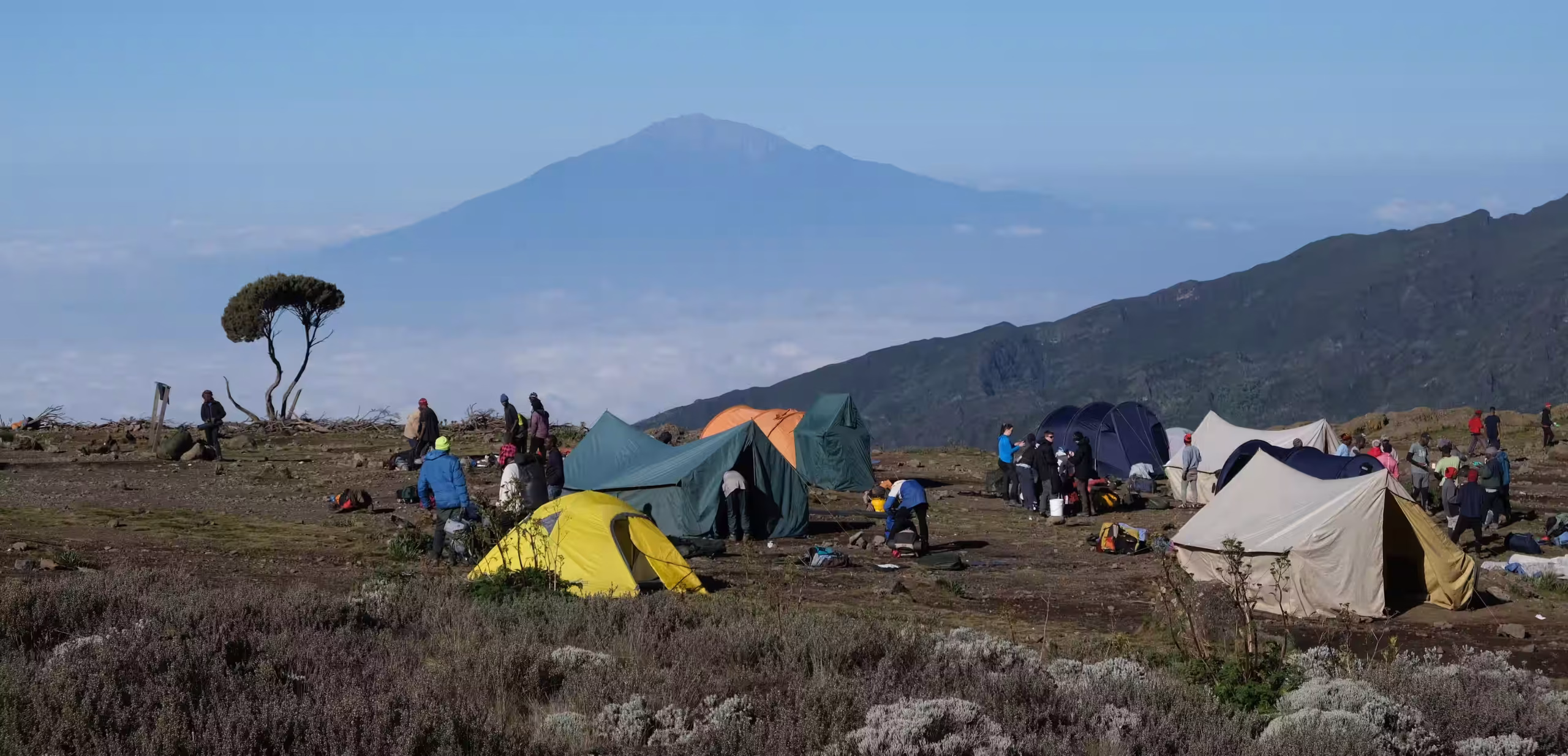 Kilimanjaro rising above the savannah