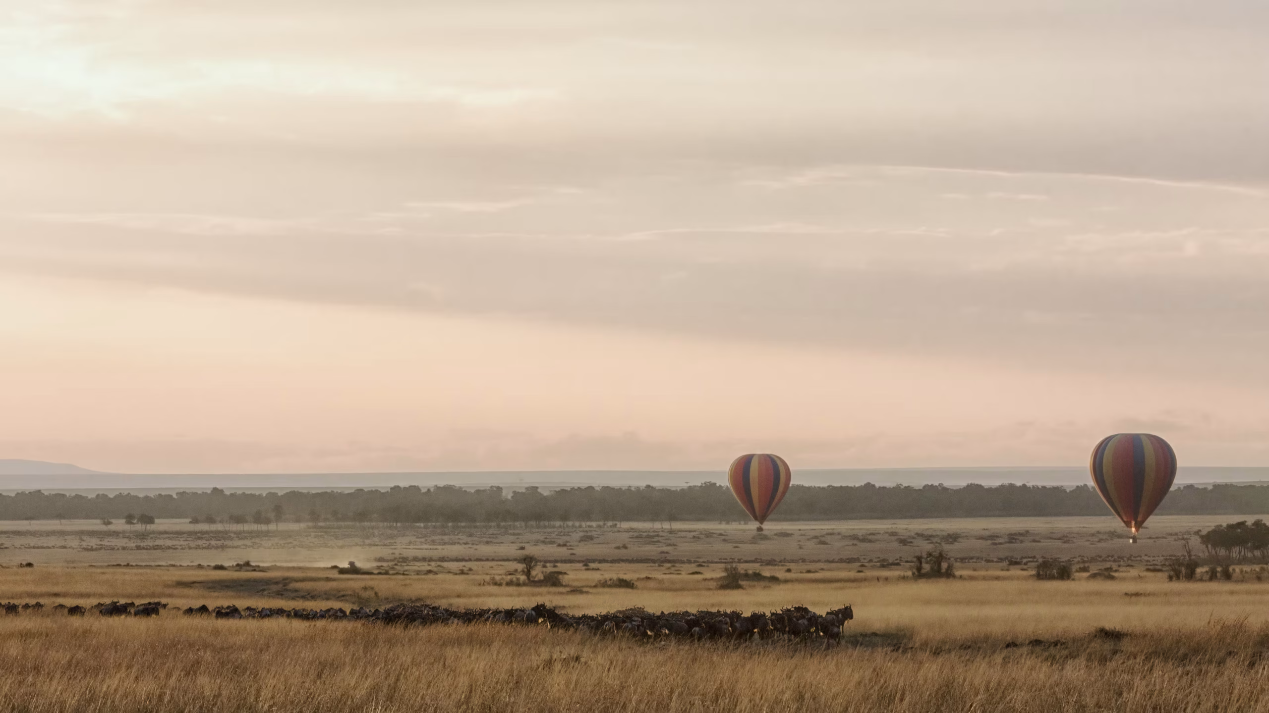 Hot-air balloon safaris