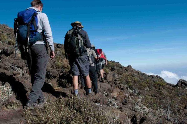 Group trekking on the Rongai route to Kilimanjaro