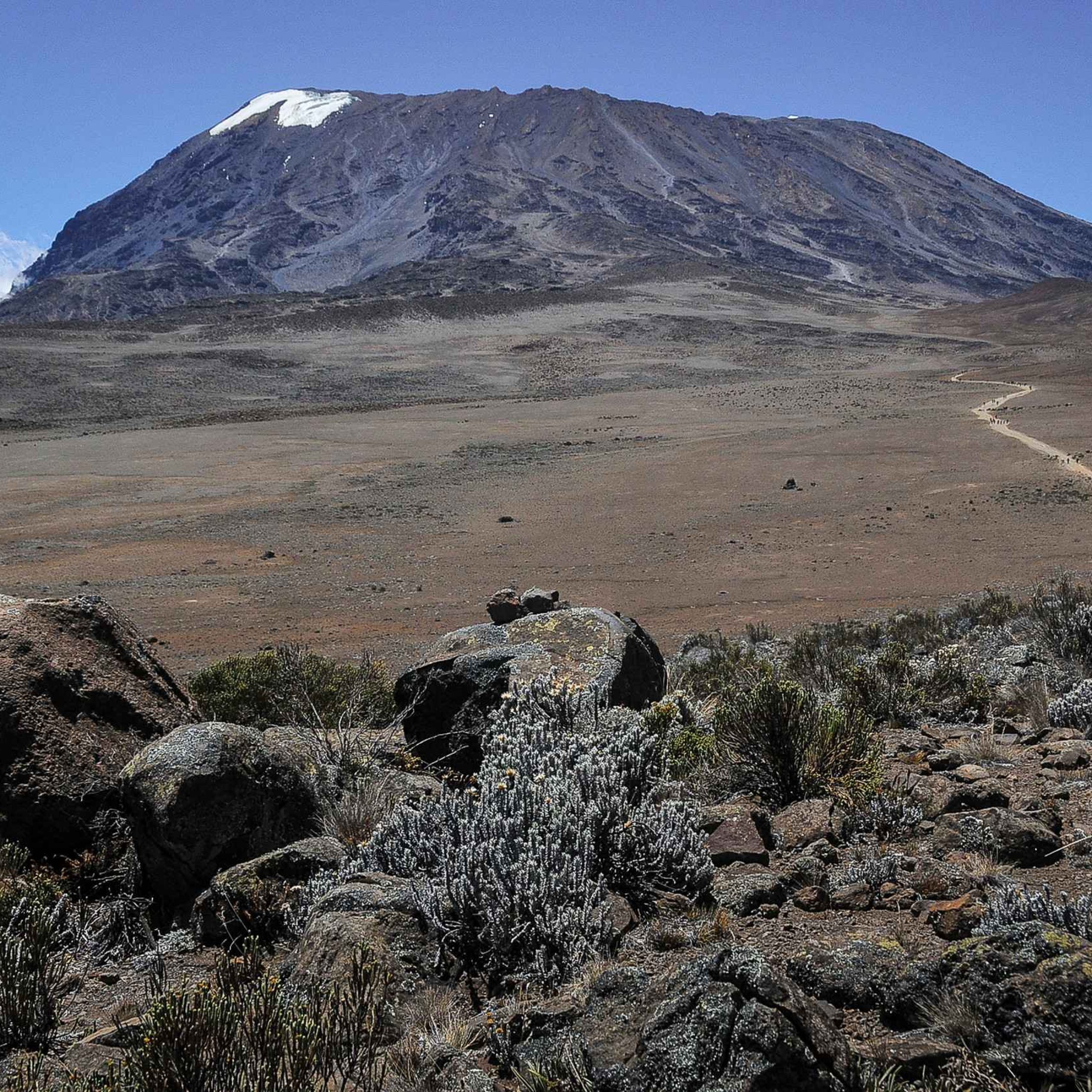 Looking back Kilimanjaro from the machame Route