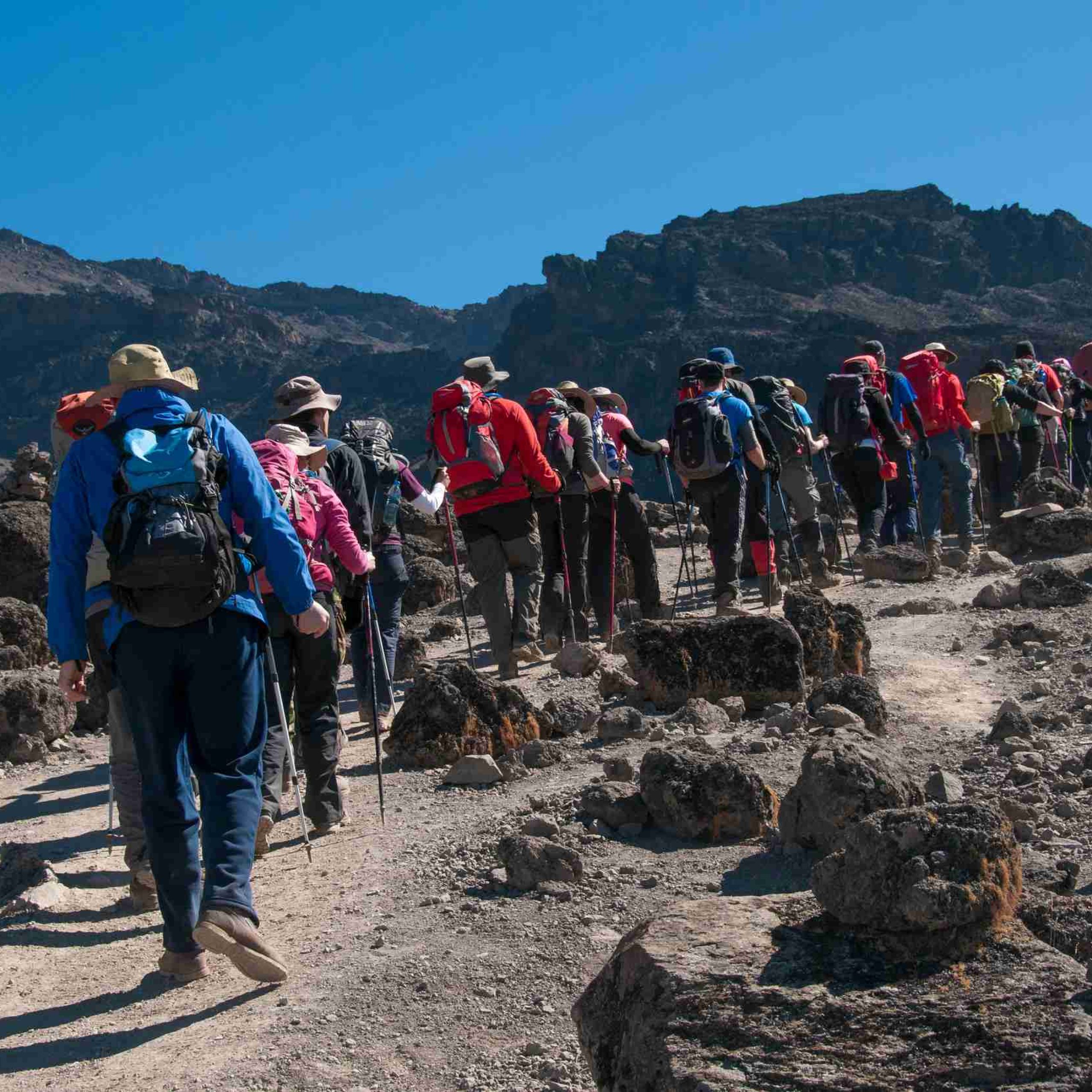 A group approaching the final camp at Barafu  on the Roungai route on Kilimanjaro