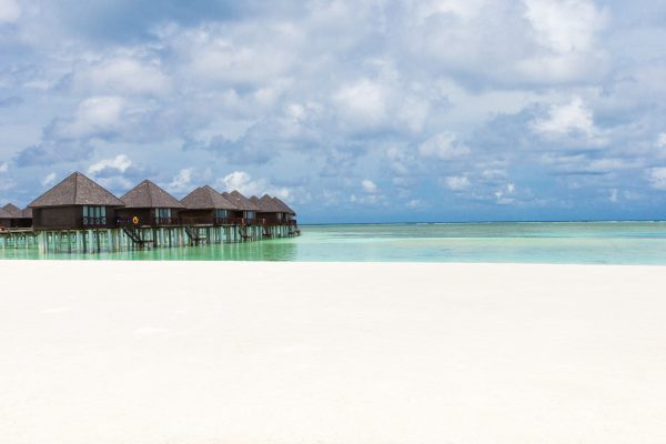 tropical beach in Maldives with few palm trees and blue lagoon