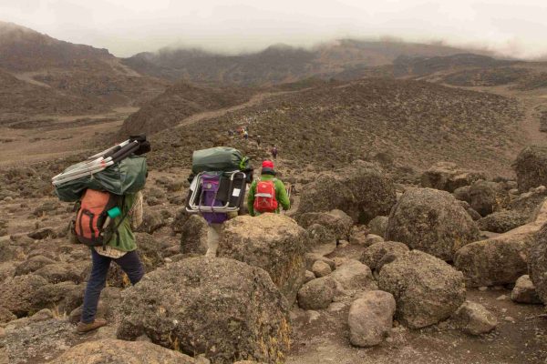 Track on Kilimanjaro on the Machame Route Whiskey. 3 day on the way