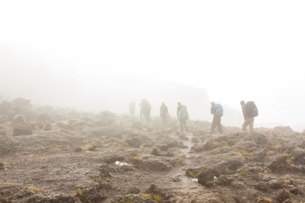 Track on Kilimanjaro on the lemosho Route. 8 day on the way