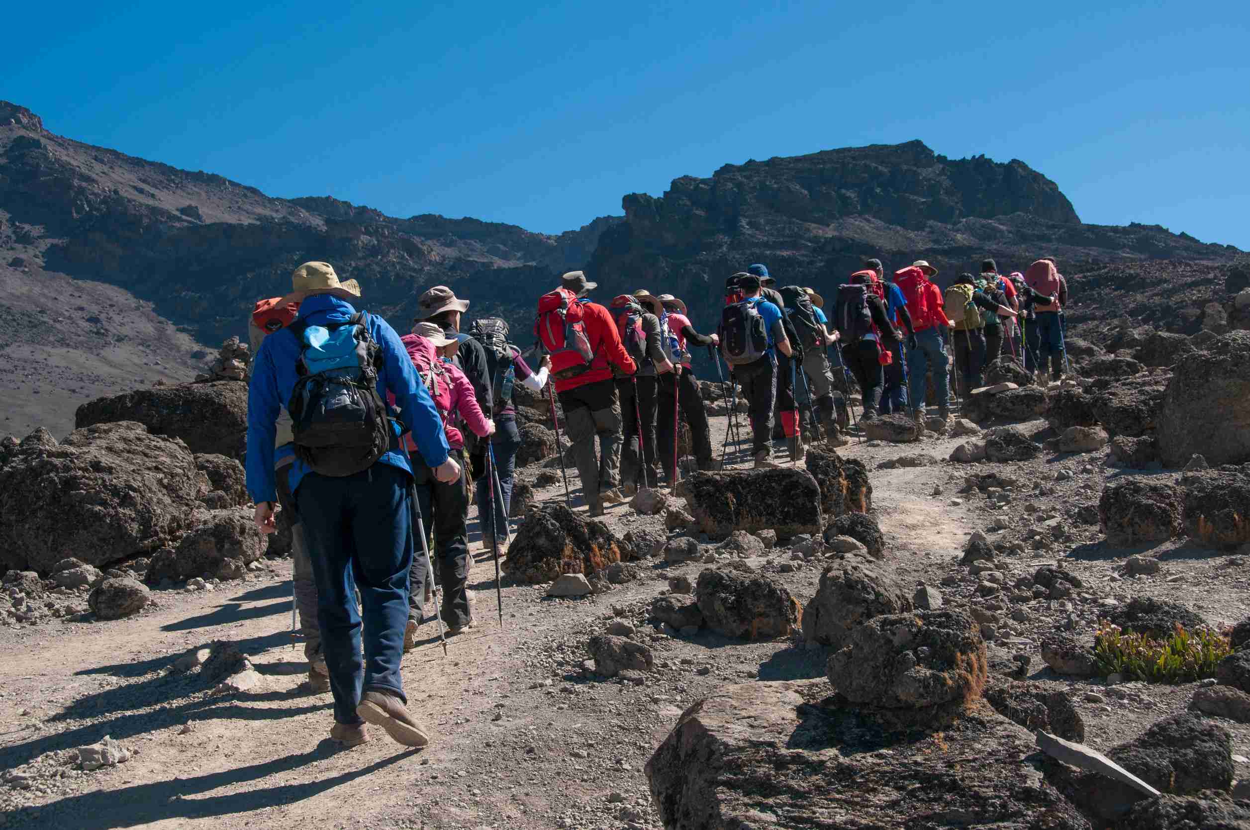 A group approaching the final camp at Barafu  on the Roungai route on Kilimanjaro