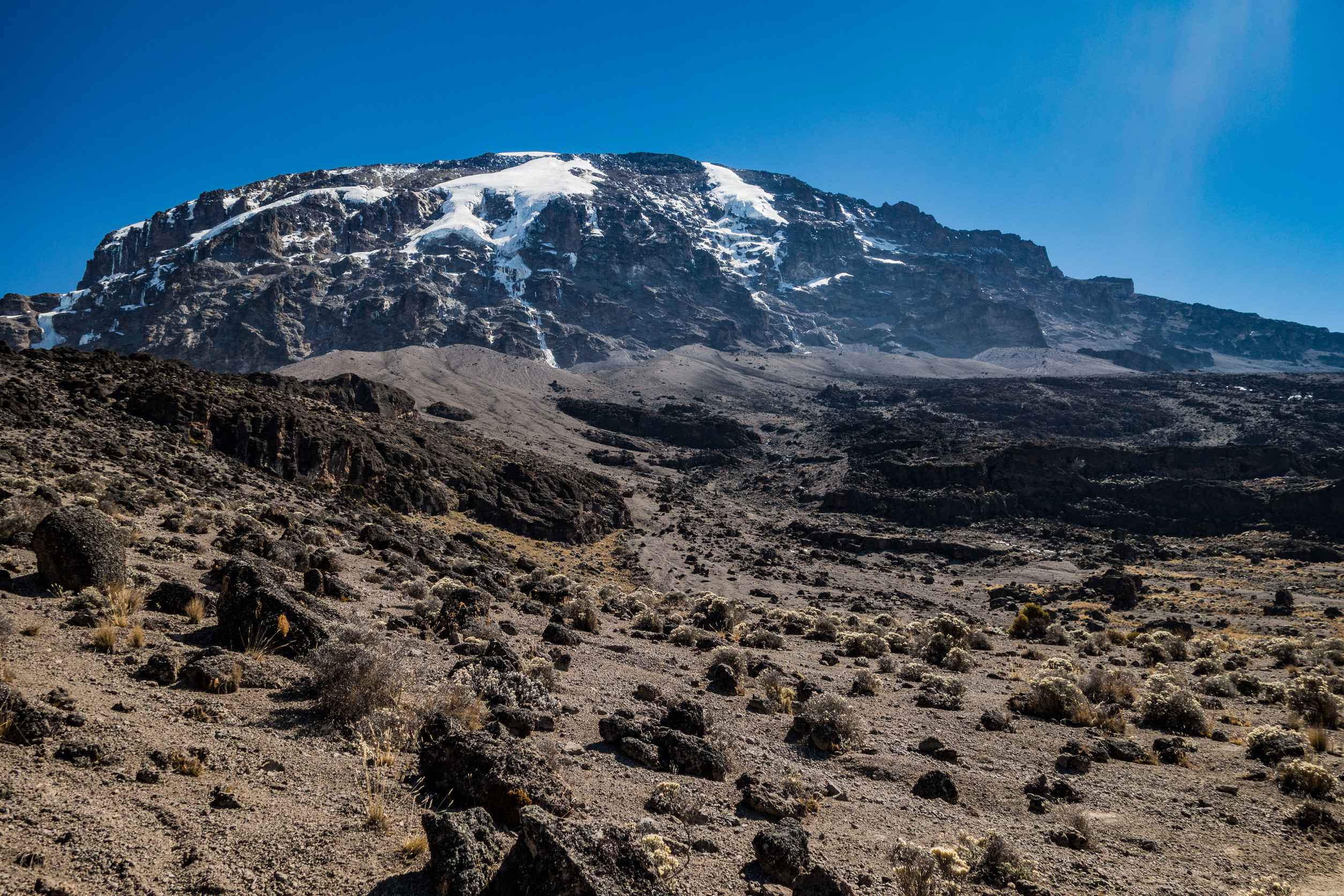 Kilimanjaro's summit and glaciers above lava rock