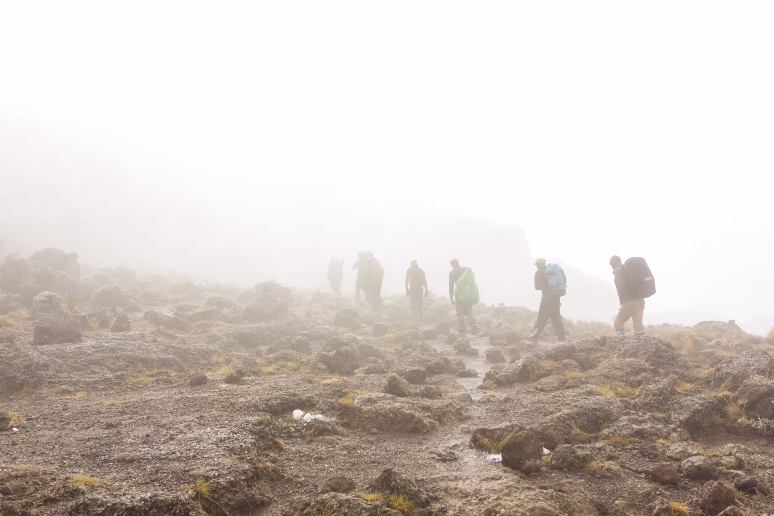 Machame route climb kilimanjaro