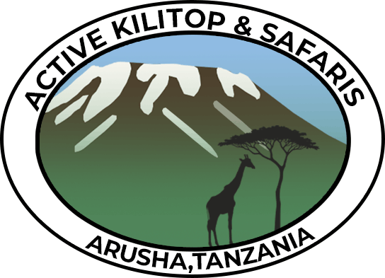 Active Kili Top and Safaris