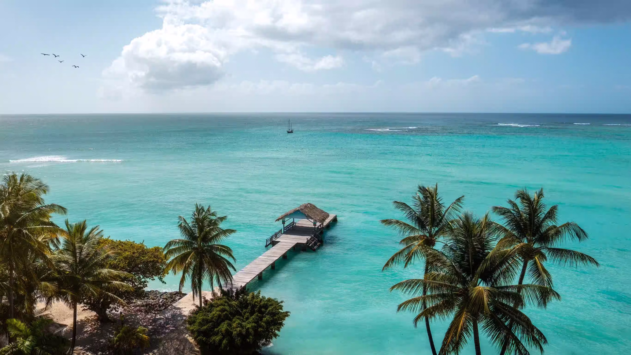 weissdergeier241200698