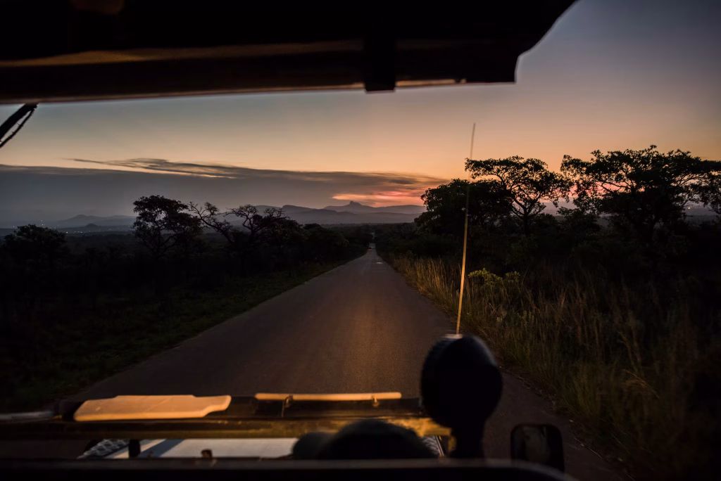 The view from an open safari vehicle along a bush track at dusk