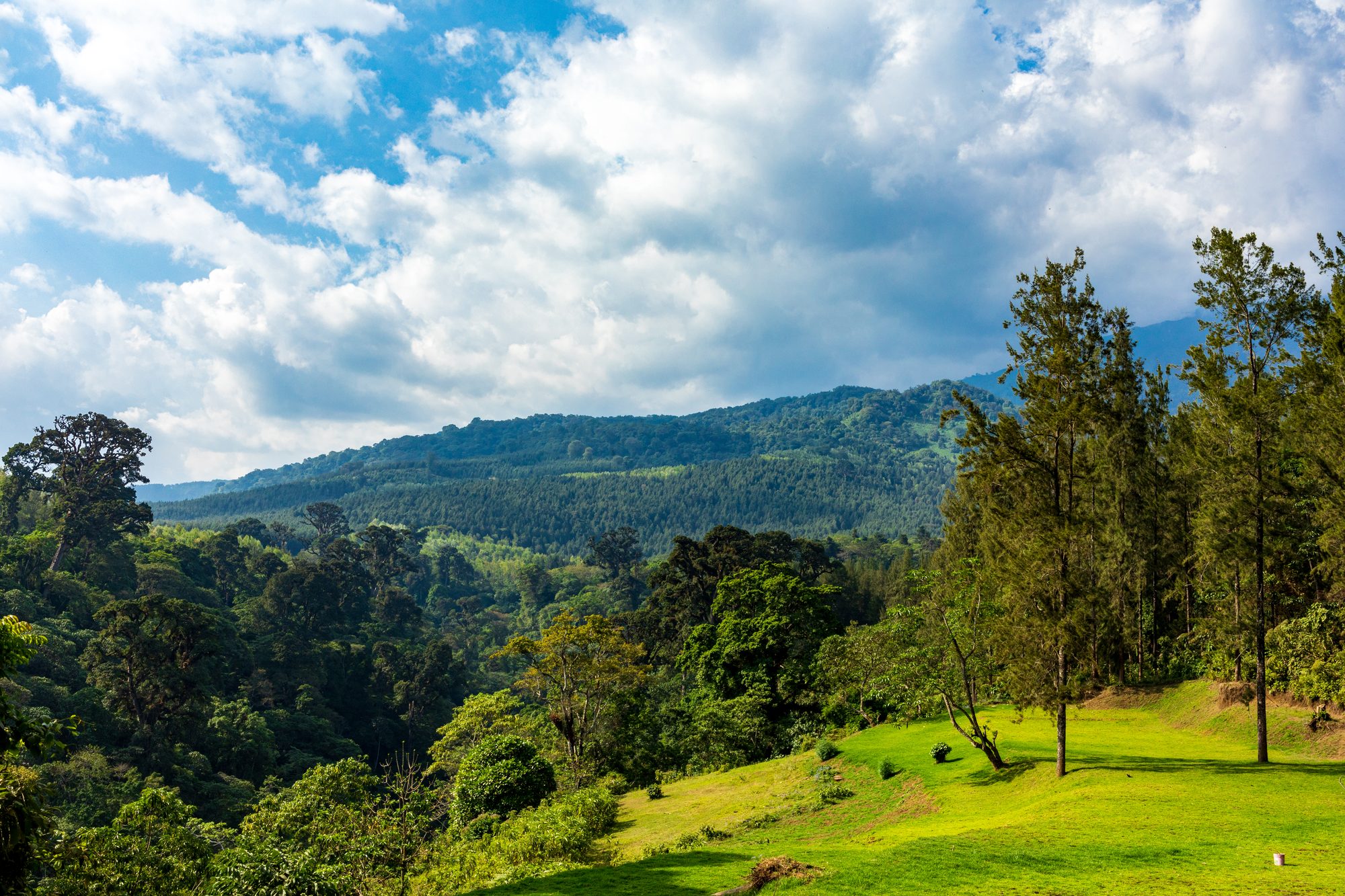 The green slopes of Mount Meru