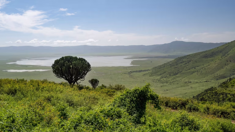 The Ngorongoro Crater seen from the rim