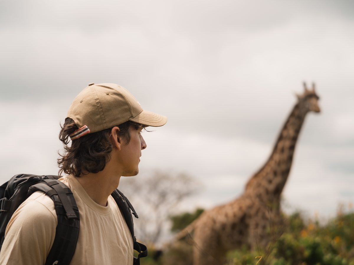 A walker watching a giraffe in Arusha National Park