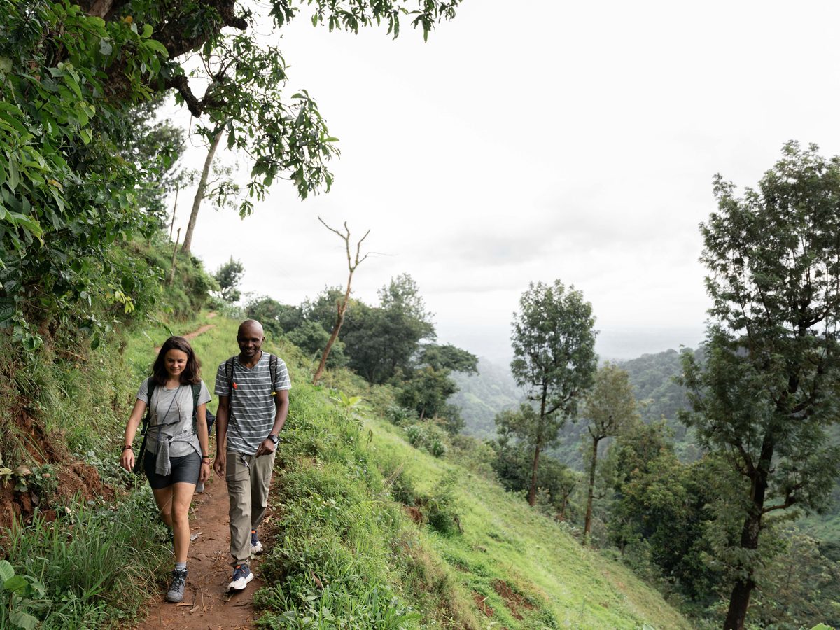 Walkers with a local guide on a green hillside path above Materuni